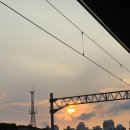 아빠곰약국 이미지