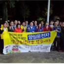 순천-11호 이미지