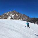 아톰소프트 이미지