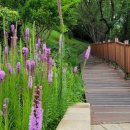 진주시립연암도서관 이미지