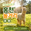 마리소리골 악기박물관 | 홍천 놀거리 추천 3곳 정리: 알파카월드 마리소리골 악기박물관 팔봉산 당일치기 코스