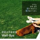 심리예술공간살다