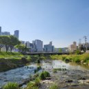 경안천 마평동 이미지