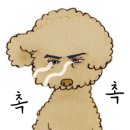 하행스