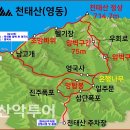 24년6월30일 영동 천태산,영각사(은행나무) 이미지