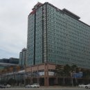 엠시티 이미지