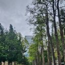 송산공원 화장실 이미지