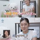 카페문 뉴스1