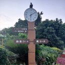준프로 | (오키나와 골프장) RyuKyu Golf Club 류큐골프클럽. 남코스 라운딩 후기