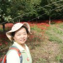 아름여행사 - 화성시 삼천병마로 1276 | 아름여행사