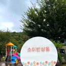 언양시장식품 | 전통을 담는 장, 언양전통식품 [25년 강한 소상공인 로컬브랜드 소상공인 유형 로캣단 3기]