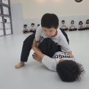 반곡MMA 이미지
