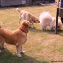 애개 하우스 이미지