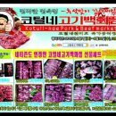 코털네고기
