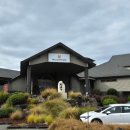 밀레니엄2 | [뉴질랜드 여행] 8월 로토루아 밀레니엄 호텔 2박 후기(조식포함)