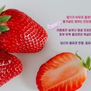 밀라비의원 네이버블로그