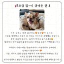 공주카센타 | 대전 신탄진 속눈썹펌 후기｜희샵 수분촉촉볼륨펌 C컬 유지력 좋은 펌
