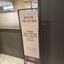 반포역 | [50%할인] SKT고객감사제 빕스(VIPS) 반포역점 샐러드바 오픈런후기, 꿀팁