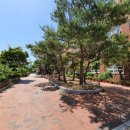 대구장산초등학교 이미지