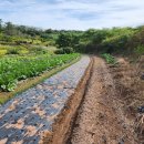 압해공인중개사사무소 이미지