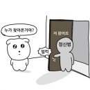 렌즈스토리천안 | 여름이 오는중