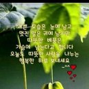 포근한 여백 이미지