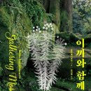 이끼와돌