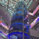 국립해양생물자원관 씨큐리움 | 충남 서천 국립해양생물자원관 "씨큐리움" 방문 후기