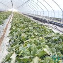 용덕보건지소 이미지