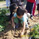 아이뜨리어린이집 이미지