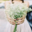 행복하시개 이미지