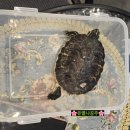 운동공간수 이미지