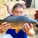 도장골낚시터 이미지