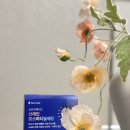 브레인에이드 | 뇌건강 관리엔 뉴트리에이드 브레인 포스파티딜세린