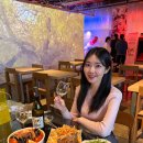 광화문동물병원 | 벌써 벚꽃이?! 하는 순간 져버린 일기