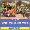 샐러디 내돈내산 연어 우삼겹 포케볼, 티키타카 음료 가격 맛 후기!