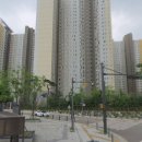 솔플란트치과의원 이미지