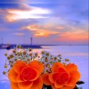 행복한 하루 이미지