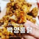 제주서문시장 | 제주 서문공설시장 포장 맛집 백양닭집 옛날 통닭 맛 그대로