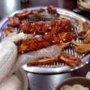 원시쪽갈비 이미지