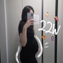 크랩게임스튜디오 | 임신일기19.22주차 배크기・정밀초음파・한샘아기방・만삭 사진 스튜디오・임신중기・고구마 주간