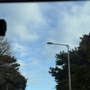 플레이스 엉물 겨울 제주 여행 ☃️ - 3일차 🍊 남원큰엉해변, 사려니숲길, <b>플레이스</b><b>엉물</b>, 월간레코드, 우진해장국