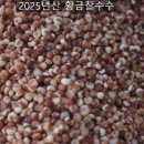 별총총농원