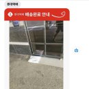 여주-0386 네이버블로그