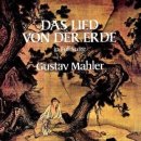 대지의 노래 이미지