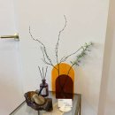 센트로 짐 이미지