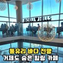 몰리힐스(MOLLI HILLS) | 거제 매미성 근처 가볼만한곳 바다뷰 카페 몰리힐스 주차 및 메뉴 후기