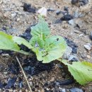 (주)나무재 이미지