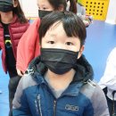 삼성유아태권도 이미지