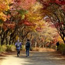 운동장길L 이미지